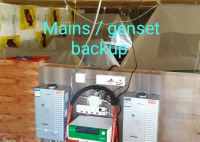 Commercial Brooding 1