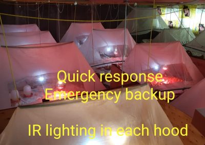 Commercial Brooding 5