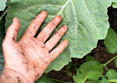 Emali 1 month after 1