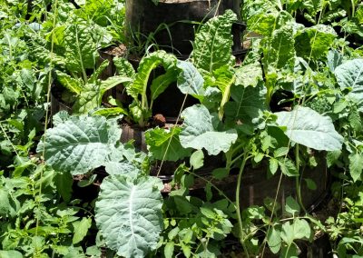 Emali 1 month after 2