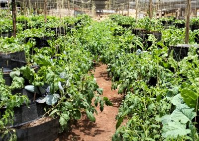 Emali 1 month after 4