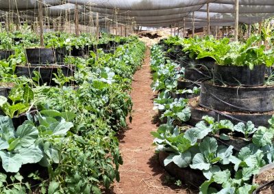 Emali 1 month after 8