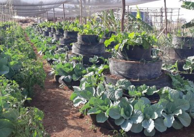 Emali 1 month after 7