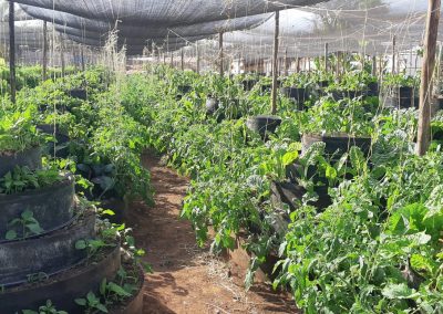 Emali 1 month after 6