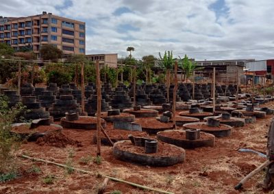 Emali vertical gardens 2