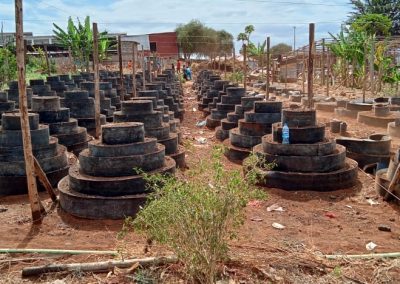 Emali vertical gardens 3