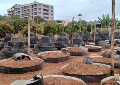 Emali vertical gardens 9