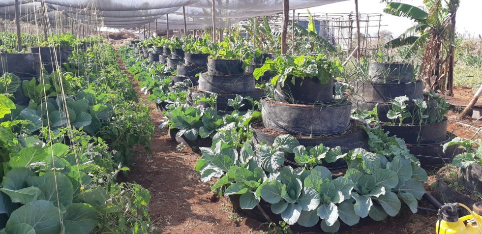 Karen WhatsApp image