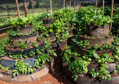 Karen doorstep garden