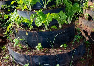Karen kitchen gardening