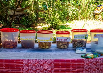Drying Fruits Overview