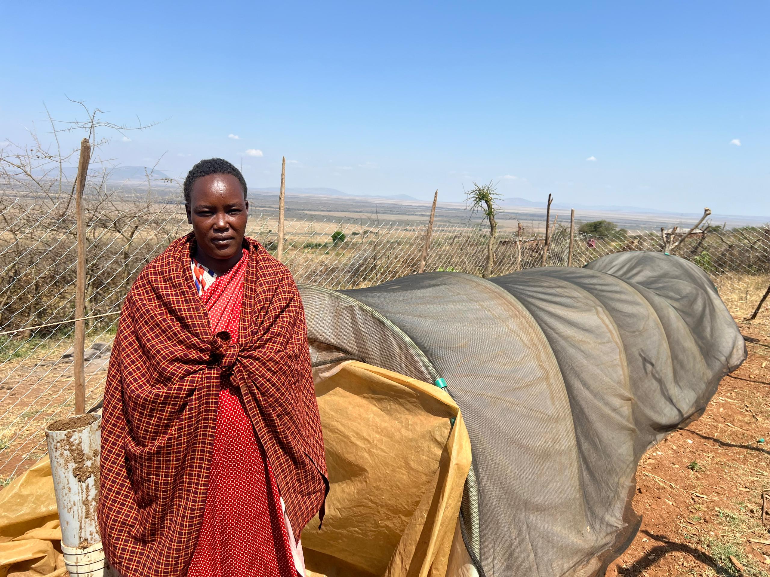 Gainioz Featured Thumb