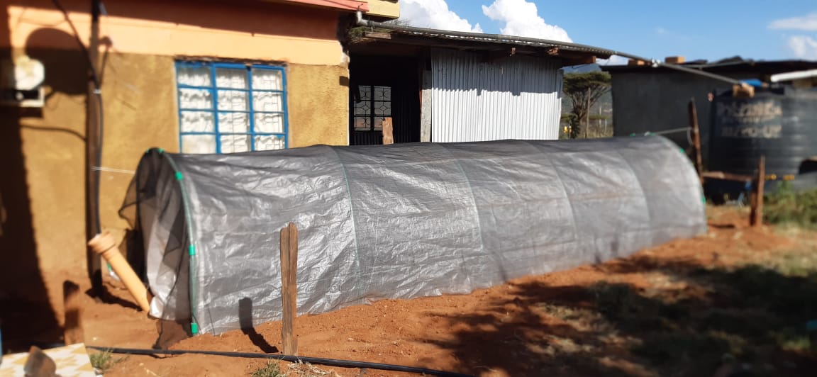 Flexi Biogas Overview 2