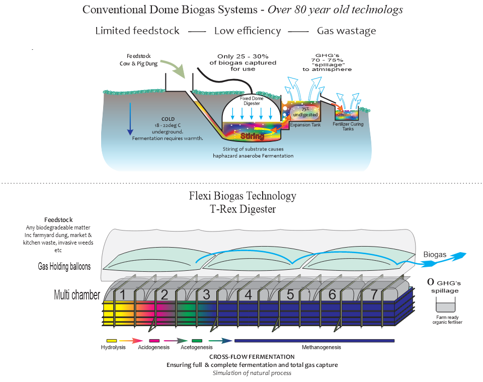 T-REX System Illustration
