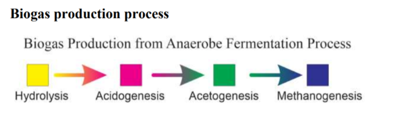 Biogas Production Process