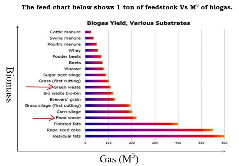Feedstock vs Biogas Production