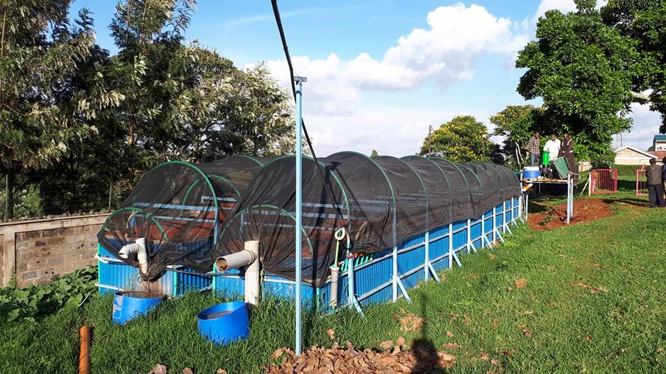 Large Capacity Biogas