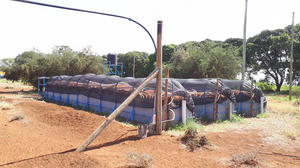 T-REX System Overview 2