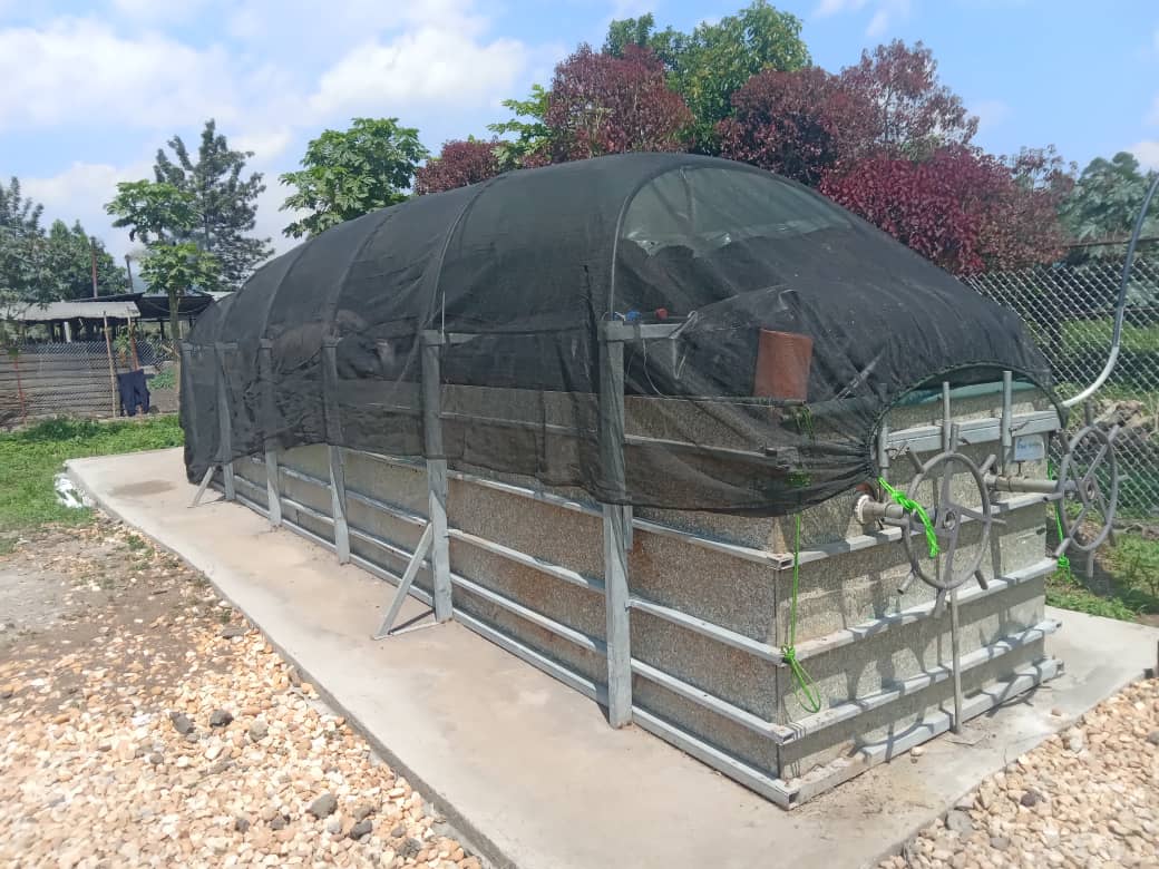 T-REX in Kenya & Congo