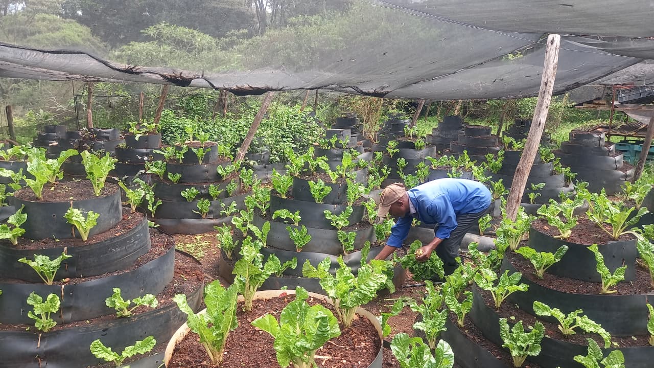 ./vertical_garden_-_flexi_biogas_1773045015636